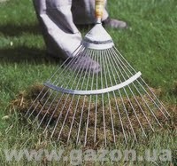 Прочесывание газона