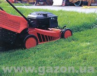 стрижка газона РАЗЕНЛЮКС