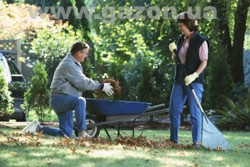 Очистка газона от мусора